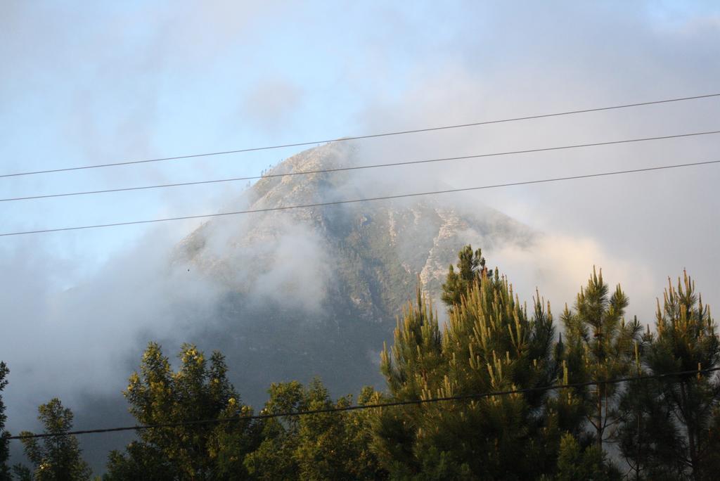 Fijnbosch Cottage&Camping Stormsrivier Rum bild
