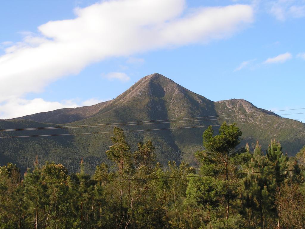 Fijnbosch Cottage&Camping Stormsrivier Rum bild