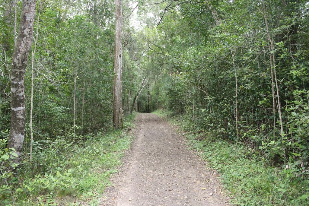 Fijnbosch Cottage&Camping Stormsrivier Rum bild
